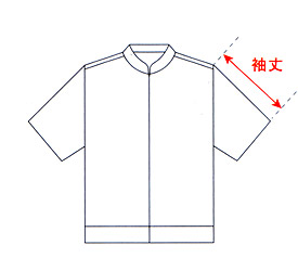 �T�C�Y�K�C�h�@�W���P�b�g����
